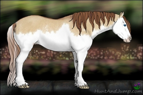 Horse Color:Red Dun Sabino Splash Rabicano 