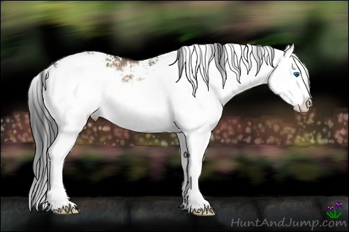 Horse Color:Brown Dun Sabino Splash Rabicano