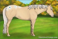 Horse Color:Silver Amber Cream Champagne Ice 