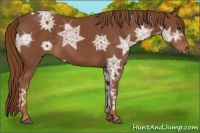 Horse Color:Chestnut Ice 