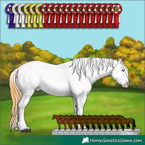 Horse Color:Buckskin Dun Blanket 