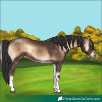 Horse Color:Liver Red Onyx Tobiano Brindle 
