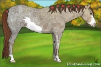 Horse Color:Chestnut Ice Frame