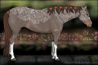 Horse Color:Liver Chestnut Ice 