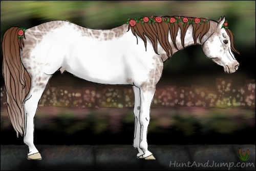 Horse Color:Chestnut Ice Splash Frame 