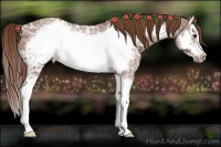 Horse Color:Chestnut Ice Splash Frame 