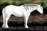 Horse Color:White Spotted Silver Smoky Grullo Ice