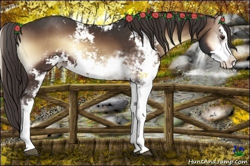 Horse Color:Liver Red Onyx Sabino 