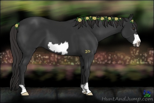 Horse Color:Liver Chestnut Frame