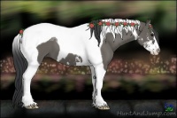 Horse Color:Grullo Sabino Tobiano