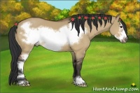 Horse Color:Bay Dun Sabino Frame 