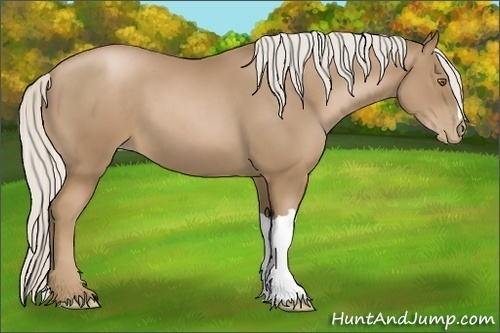 Horse Color:Silver Black Pearl 