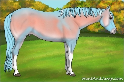 Horse Color:Watercolor Blue Onyx Roan Tobiano 