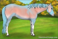 Horse Color:Watercolor Blue Onyx Roan Tobiano 