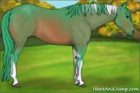 Horse Color:Watercolor Bay Tobiano 