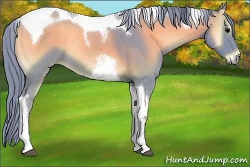 Horse Color:Watercolor Blue Onyx Tobiano 