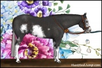 Horse Color:White Spotted Liver Chestnut Sabino Splash Frame 