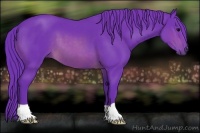Horse Color:Watercolor Brown 