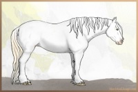 Horse Color:Gold Champagne Roan Dun Splash Tobiano Frame Varnish Rabicano