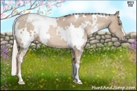 Horse Color:White Spotted Chocolate Palomino Pearl Frame 