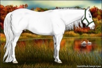 Horse Color:White Spotted Silver Smoky Creme Splash Appaloosa Rabicano 