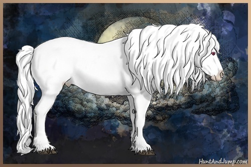 Horse Color:Silver Grullo Chinchilla Pearl Blanket Rabicano