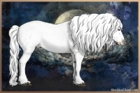 Horse Color:Silver Grullo Chinchilla Pearl Appaloosa Rabicano