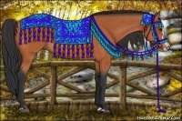 Horse Color:Bay  and Bay Splash 