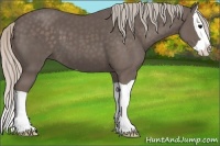 Horse Color:Silver Black Splash 
