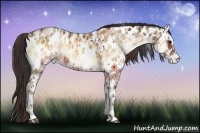 Horse Color:Brown Onyx Leopard and Sable Champagne Roan Onyx Leopard