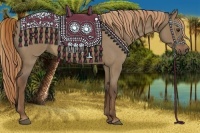 Horse Color:Liver Red Dun Roan 