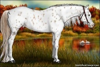 Horse Color:Liver Chestnut Snowdrop Leopard  and Chestnut Snowdrop Leopard 