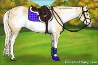 Horse Color:White Spotted Palomino Sabino Frame