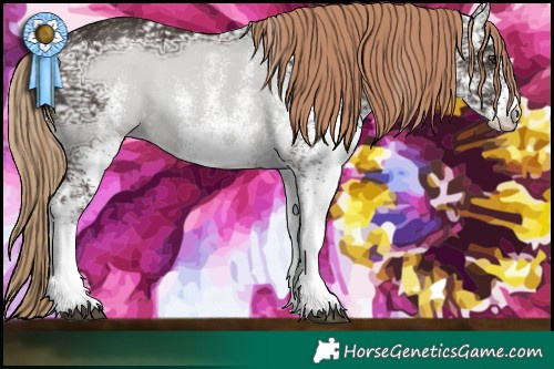 Horse Color:White Spotted Liver Chestnut Ice Rabicano