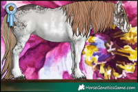Horse Color:White Spotted Liver Chestnut Ice Rabicano 