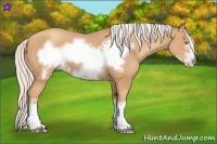 Horse Color:Silver Amber Champagne Frame 