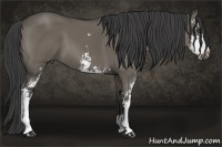 Horse Color:Smoky Grullo Sabino 