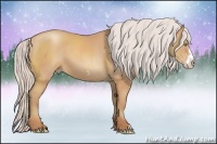 Horse Color:Silver Amber Champagne Frame