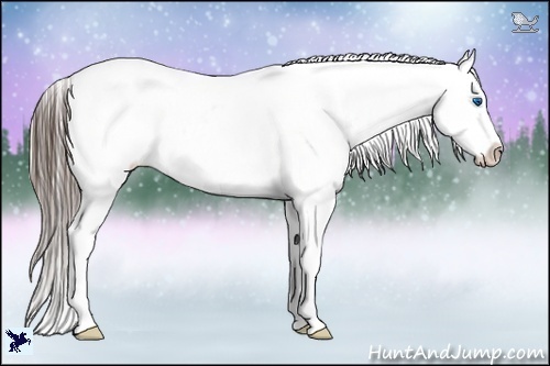 Horse Color:Black Splash Tobiano Frame Varnish 