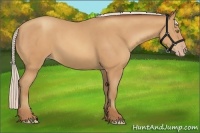 Horse Color:Silver Amber Champagne Frame