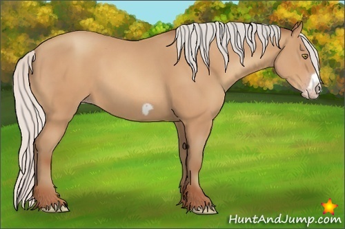 Horse Color:Silver Amber Champagne Frame