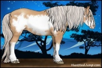 Horse Color:Silver Amber Champagne Frame 
