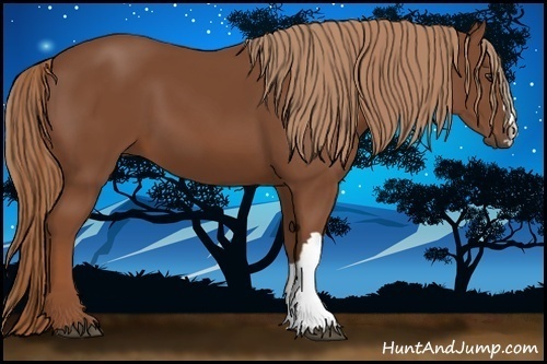 Horse Color:Chestnut 