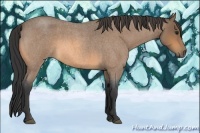 Horse Color:Buckskin Roan 