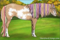 Horse Color:Painted Silver Amber Champagne Frame 