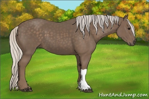 Horse Color:Silver Black 