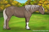 Horse Color:Silver Black 