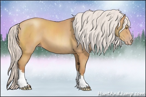 Horse Color:Silver Amber Champagne