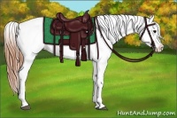 Horse Color:Grullo Appaloosa 