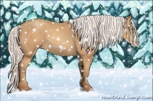 Horse Color:Silver Amber Champagne Frame